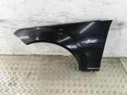Kotflügel vorne links MERCEDES-BENZ C (W204) C 220 CDI (204.002) A2048810101
