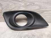 Gitter vorne unten TOYOTA AVENSIS Estate (_T25_) 2.0 D-4D (ADT250_) 4313PB010