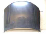 Motorhaube AUDI A8 D3 (4E2, 4E8) 4.2 quattro