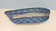 Gitter Grill vorne rechts MERCEDES-BENZ C (W204) C 220 CDI (204.002) A2048803324
