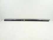 Fensterleiste Tür vorne links MERCEDES-BENZ S Coupe (C215) CL 65 AMG (215.379) A2156900180 2156900180