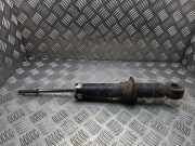 Stoßdämpfer hinten links