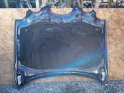 Motorhaube JAGUAR S-TYPE (X200) 2.7 D