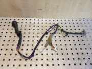 Kabel Tür Toyota RAV 4 II (A2) 8215342071A