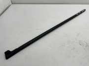 Türleiste vorne links SKODA FABIA III (NJ3) 1.4 TDI 5V0837477