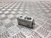 A/C Conditioner Expansion Valve NISSAN NOTE (E11, NE11) 1.6 52295190