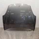 Motorhaube Porsche Cayenne 2 (92A)