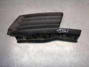 Vorderer oberer Gitter RENAULT ESPACE IV (JK0/1_) 2.2 dCi (JK0H) 3105311