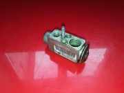 A/C Conditioner Expansion Valve MERCEDES-BENZ C (W204) C 200 CDI (204.007, 204.006) 7015087 326310