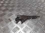 Einspritzdüse PEUGEOT PARTNER Furgon (5) 2.0 HDi 9640088780
