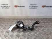 Gaspedal RENAULT MASTER III Furgon (FV) 2.3 dCi 125 FWD (FV0C, FV0D) 8200672371C