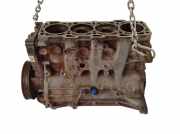 Motor ohne Anbauteile (Diesel) Fiat Doblo Van (263) 263A1000