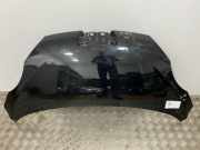 Motorhaube Peugeot 107 ()