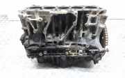 Motorblock Volvo S60 II (134) D5244T10