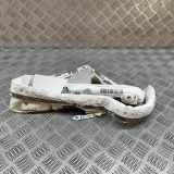 Airbag Dach rechts Mini Mini Countryman (F60) 7376422