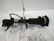 Stoßdämpfersatz Vorderachse Nissan Qashqai (J10) 54303BR04A