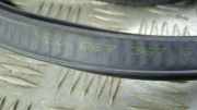 Türdichtung Porsche Cayenne 1 (9PA) 7L0867367