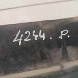 Grill Windlauf VW Transporter T6 Bus/Caravelle () 7E0819403A