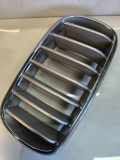Vorderer oberer Gitter BMW X5 (F15, F85) xDrive 30 d 7316076 7316054