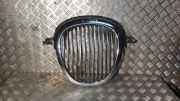 Gitter JAGUAR S-TYPE (X200) 3.0 V6 XR838A133AA
