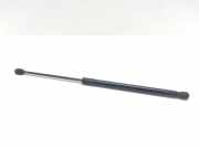 Stoßdämpfer hinten links FORD ECOSPORT 1.0 EcoBoost CN15N400A12BA