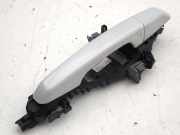 Türaußengriff links LAND ROVER RANGE ROVER EVOQUE Cabrio (L538) 2.0 D 4x4 EJ32203A29CB