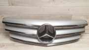 Ziergitter Mercedes-Benz B-Klasse Sports Tourer (W245) A1698800883