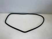 Türdichtungsgummi hinten rechts BMW 3 Touring (F31) 330 d xDrive 7258336