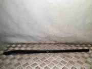 Türgummi rechts vorne Opel Movano B Kasten (X62)