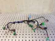 Kabelbaum LAND ROVER RANGE ROVER SPORT (L320) 2.7 D 4x4 273384000