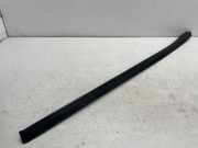 Zierleiste Windschutzscheibe Frontscheibe MERCEDES-BENZ R (W251, V251) R 320 CDI 4-matic (251.022, 251.122) A2516905062
