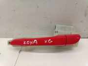 Türgriff links hinten Hyundai Kona I (OS, OSE, OSI) 2331175200