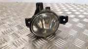 Nebelscheinwerfer links vorne BMW X5 (E70) 13101610