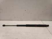 Gasfeder für Motorhaube Mercedes-Benz R-Klasse (W251)