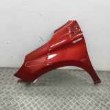 Kotflügel vorne links