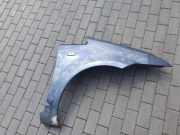 Kotflügel vorne links