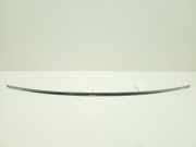 Andere Verkleidungsteile MERCEDES-BENZ S (W221) S 500 CGI 4-matic (221.094, 221.194) A2217580181