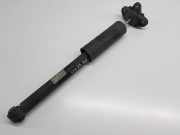 Stoßdämpfer rechts hinten Alfa Romeo Giulia (952) 50544269