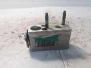 A/C Conditioner Expansion Valve FIAT BRAVO II (198_) 1.9 D Multijet A310010E0A