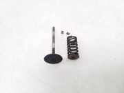 Ansaugkrümmer Nissan Murano I (Z50)