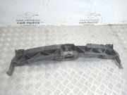 Zier-/Schutzleistensatz für Kühlergitter Citroen C3 Picasso (SH)