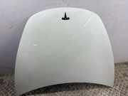 Motorhaube TESLA MODEL 3 EV