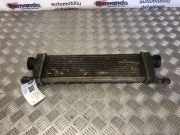 Ladeluftkühler MERCEDES-BENZ A (W168) A 170 CDI (168.009, 168.109) A1685000000