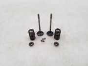 Einlassventile BMW 5 (F10) 550 i xDrive