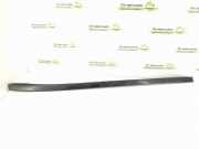 Zierleiste Windschutzscheibe Frontscheibe MERCEDES-BENZ R (W251, V251) R 320 CDI 4-matic (251.022, 251.122) A2516904962