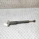 Stoßdämpfer hinten links MASERATI GHIBLI (M157) 3.0 D 670008899