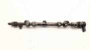 Einspritzleiste Hyundai Santa Fe III (DM) 314002F000