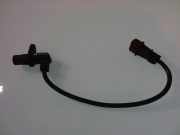 Wellenpositionssensor
 PEUGEOT 406 (8B) 1.8 16V 10234006