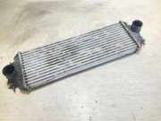 Ladeluftkühler RENAULT TRAFIC II Furgon (FL) 2.0 dCi 115 (FL01, FL0U) 7700312903 91166035