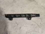 KRAFTSTOFFVERTEILER EINSPRITZLEISTE VERTEILERROHR RENAULT LAGUNA II (BG0/1_) 2.2 dCi (BG0F) 0281002565